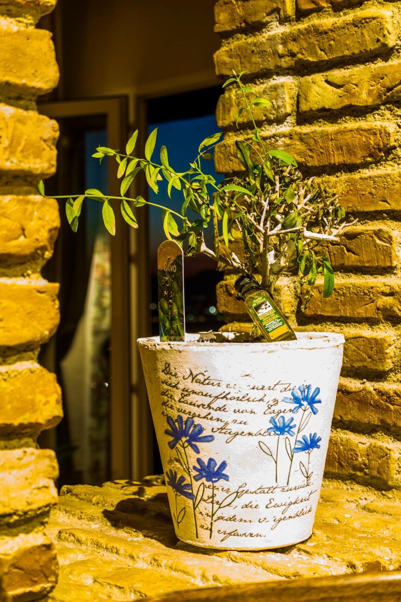 Hotel El Balcon De Las Nieves ลาซูเบีย ภายนอก รูปภาพ