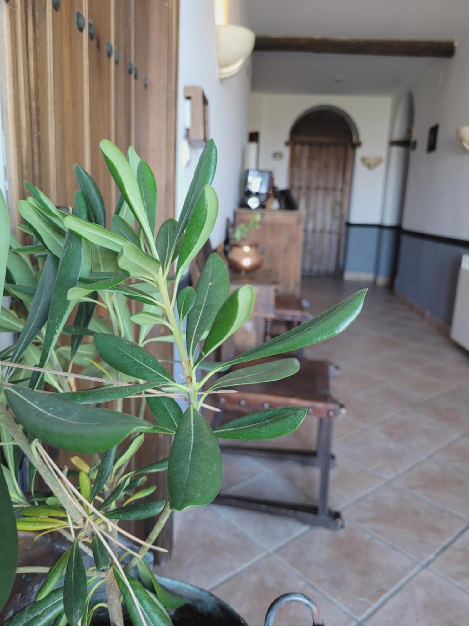 Hotel El Balcon De Las Nieves ลาซูเบีย ภายนอก รูปภาพ