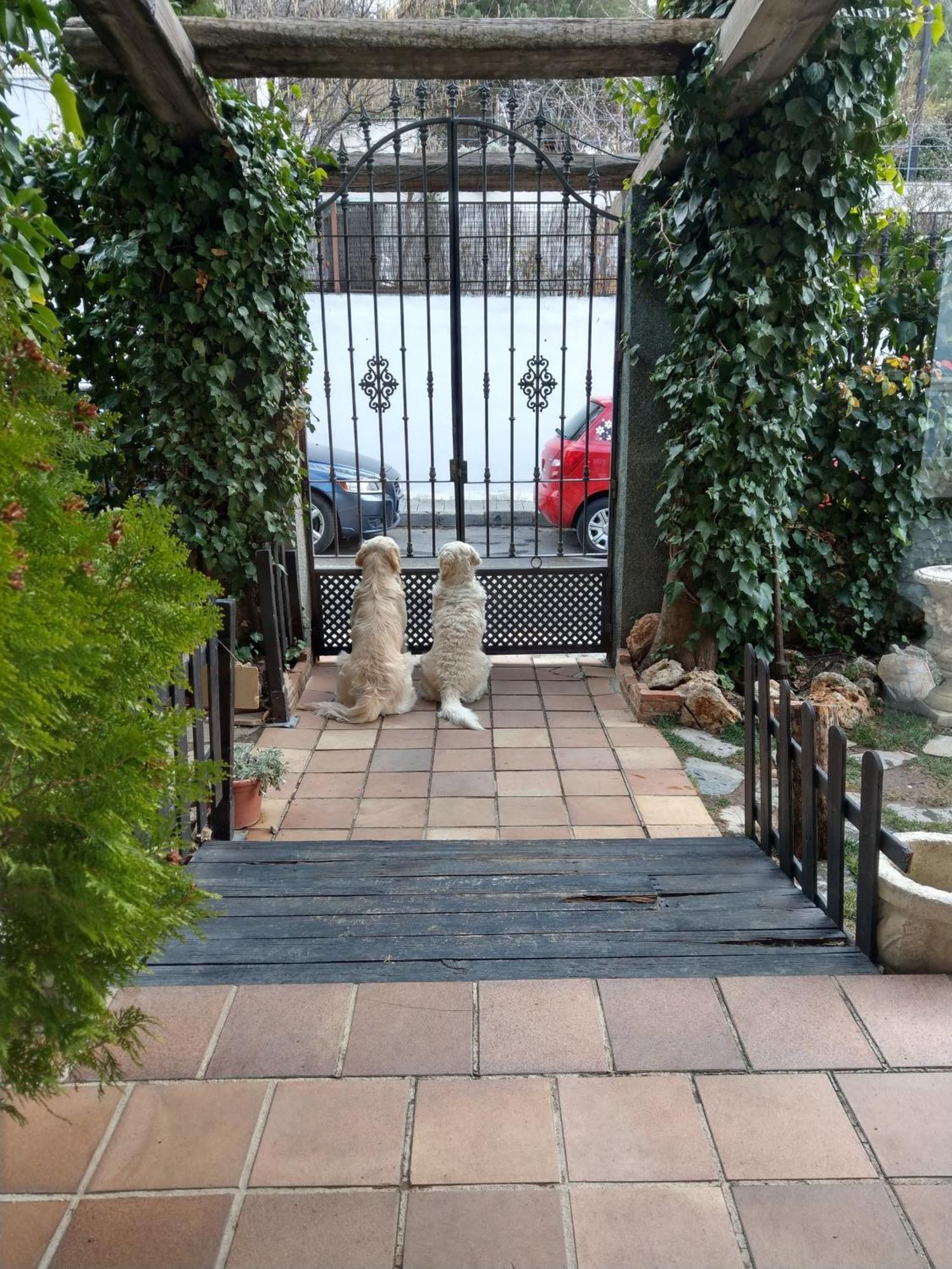 Hotel El Balcon De Las Nieves ลาซูเบีย ภายนอก รูปภาพ