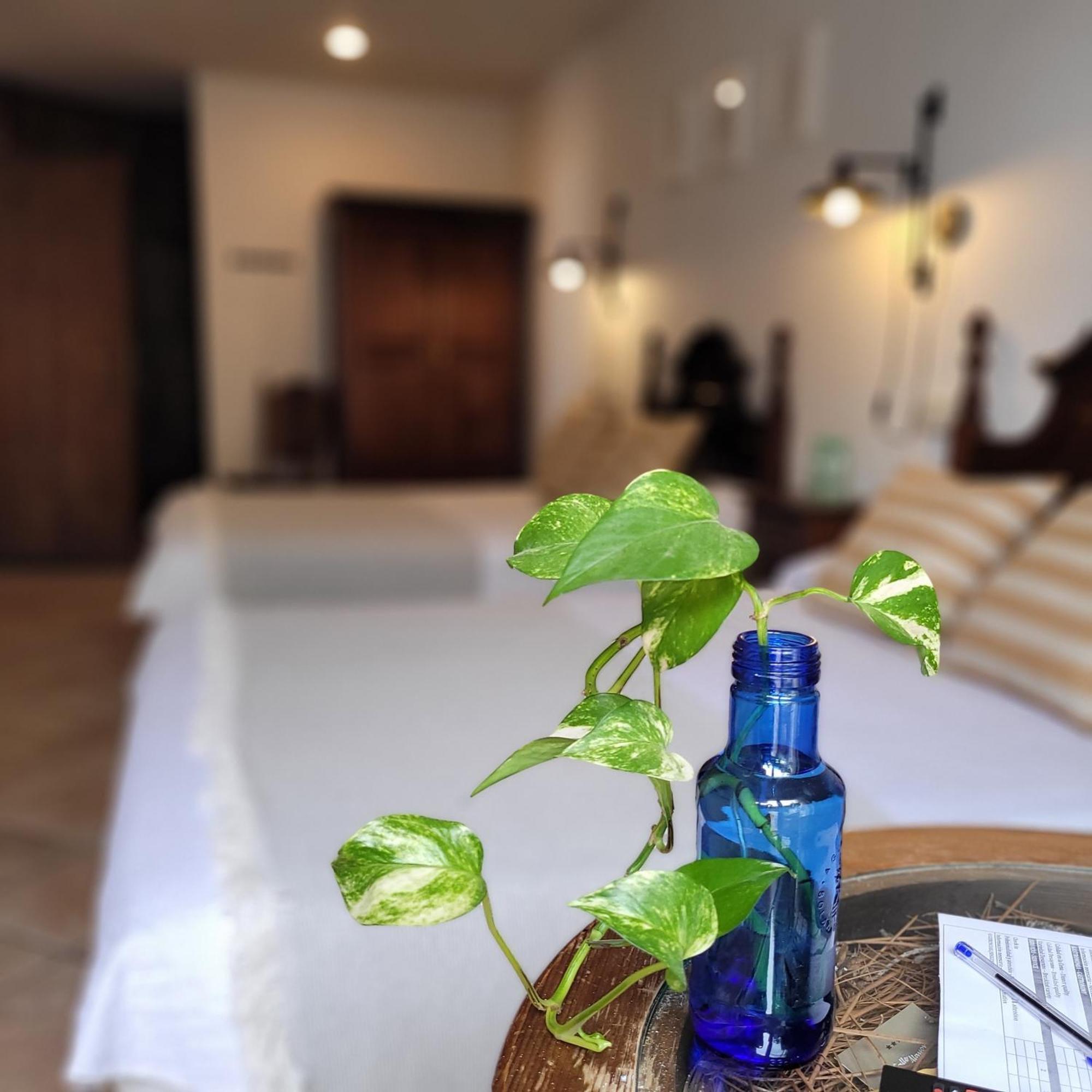 Hotel El Balcon De Las Nieves ลาซูเบีย ภายนอก รูปภาพ