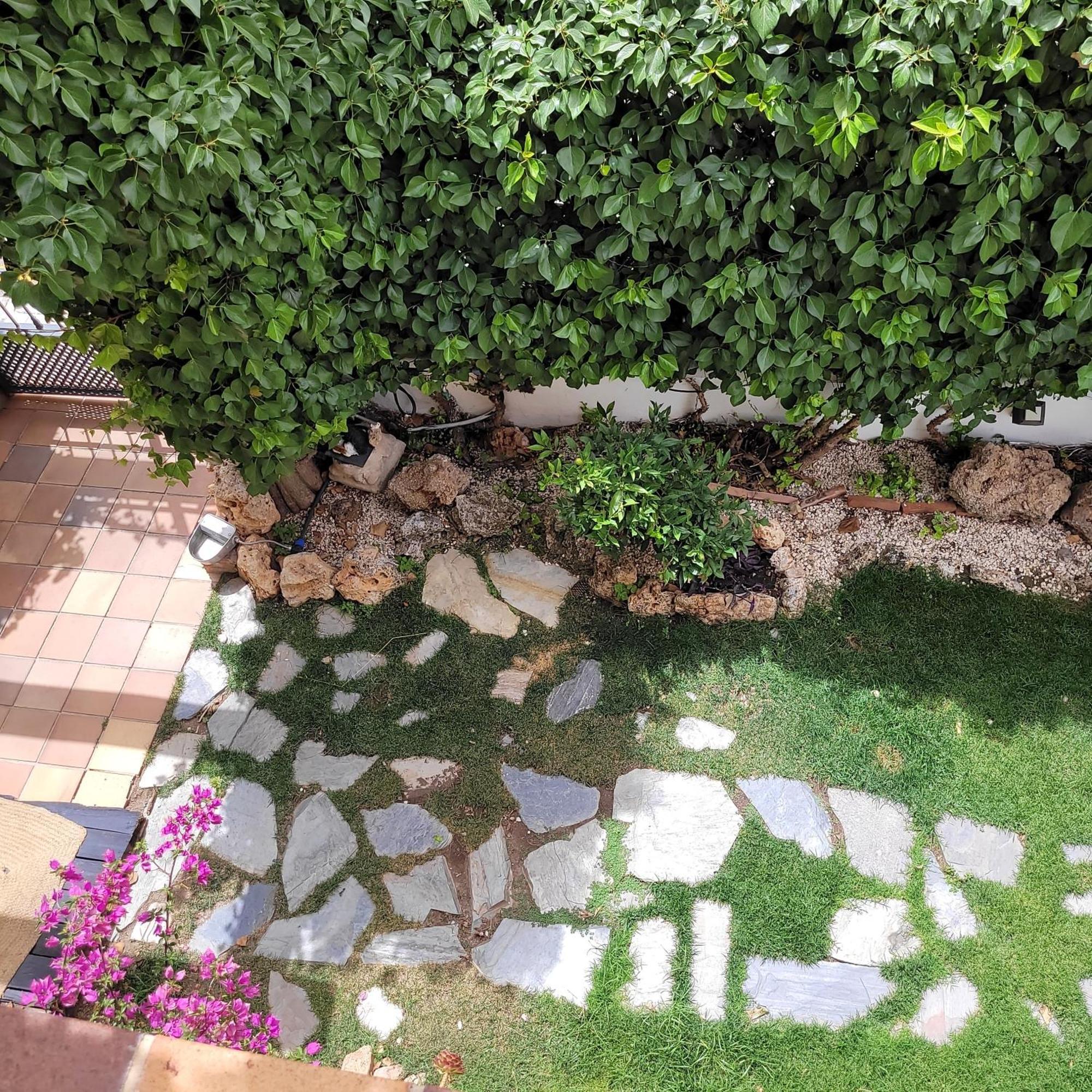 Hotel El Balcon De Las Nieves ลาซูเบีย ภายนอก รูปภาพ