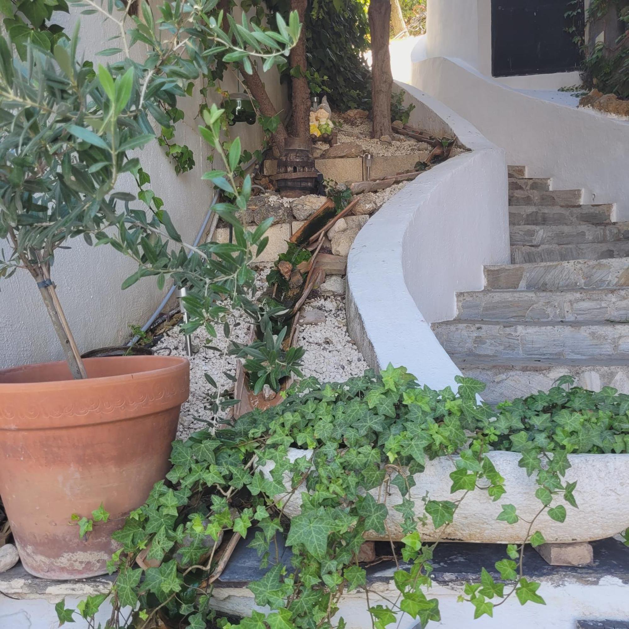 Hotel El Balcon De Las Nieves ลาซูเบีย ภายนอก รูปภาพ